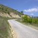 DSC01953