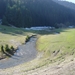 govedarzi (1)