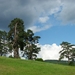 Lake Dospat (1)