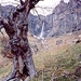 rai-darvo